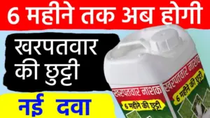 बायर का ‘अलियन प्लस’ देगा 6 महीने तक निजात; एक स्प्रे और आधा साल खेत