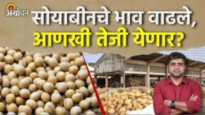 Soybean Rate: सोयाबीन भाव वाढले, भावात आनखी तेजी येनार ?