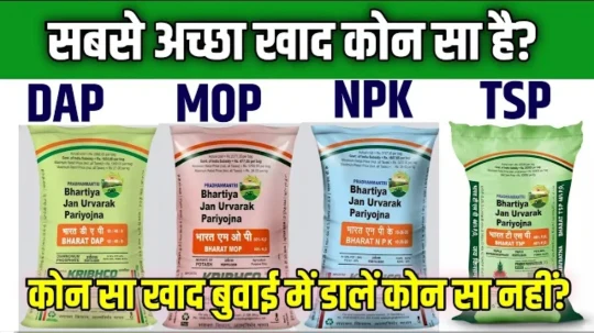 सबसे अच्छा खाद कोनसा है खादों का सही उपयोग DAP, यूरिया, SSP और NPK के बारे में पूरी जानकारी.