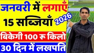 लगायें ये सब्जीया, बिकेगी 100₹ किलो, 30 दिन मे मालामाल