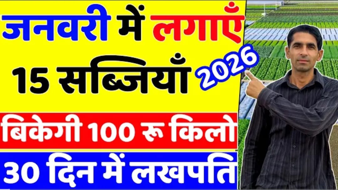 लगायें ये सब्जीया